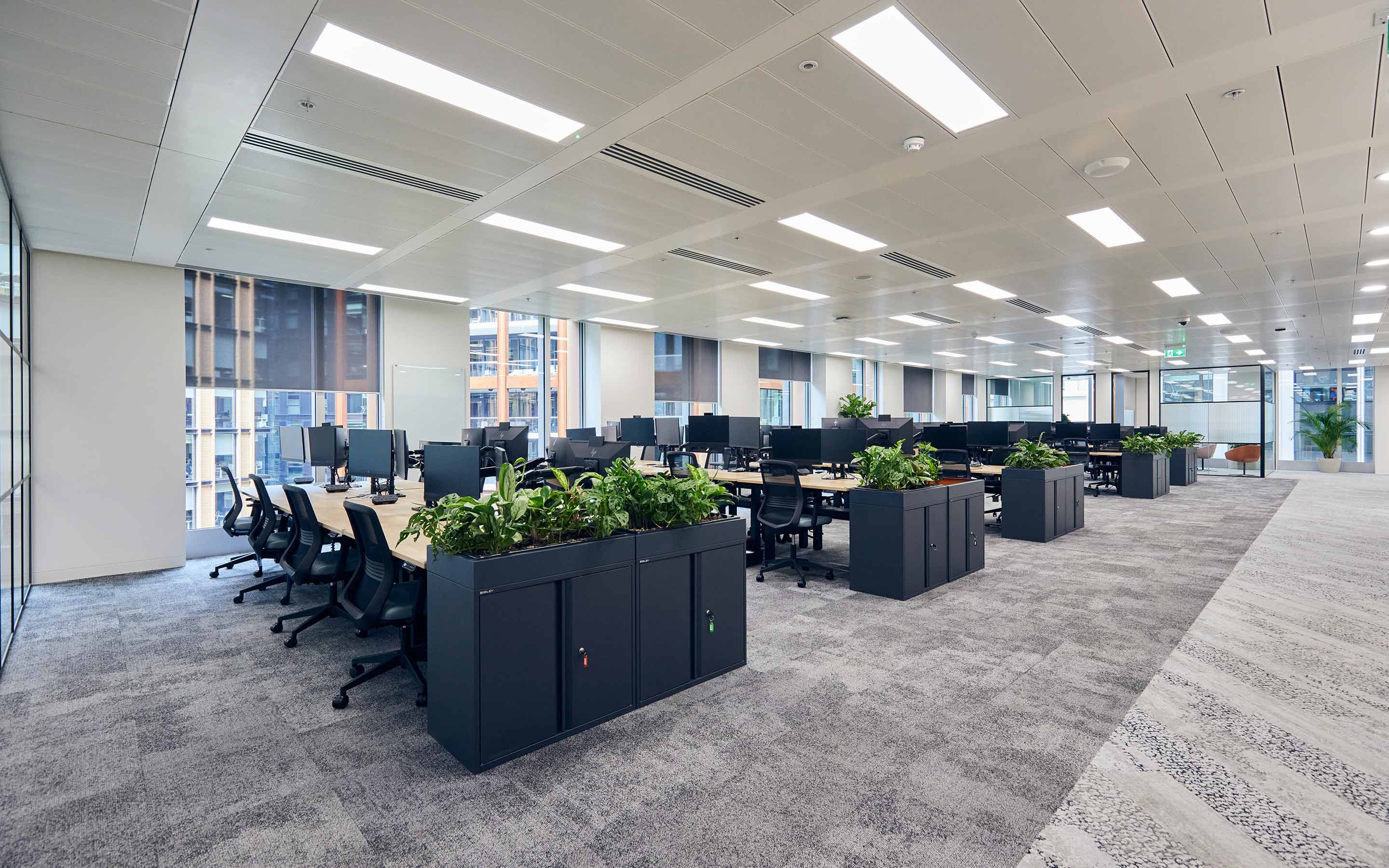 The image is an expansive open-plan desking area with planting and a grey mottled carpet