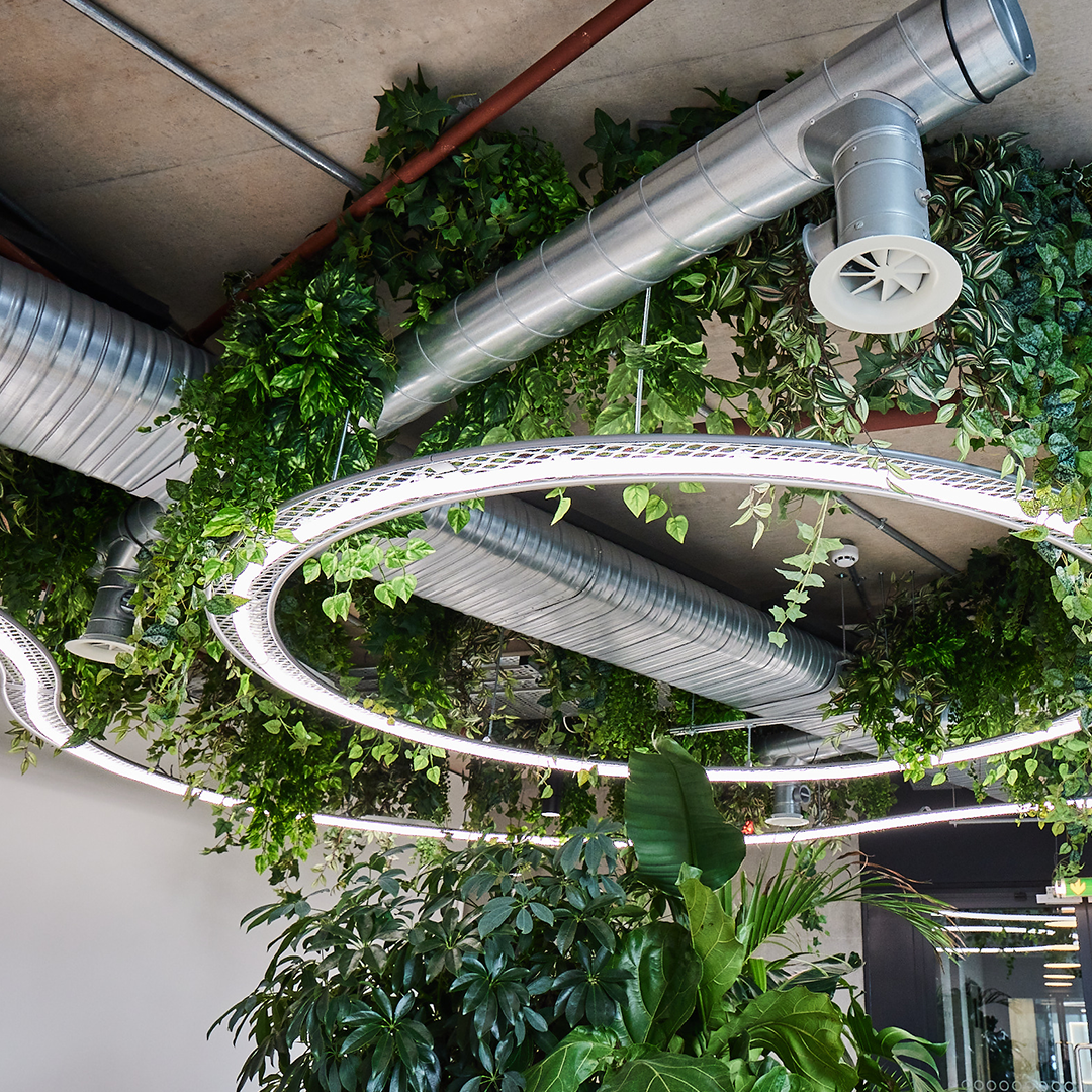 Ceiling with ductwork and green plants hanging amongst circular lighting fixtures at Brainlabs workspace.