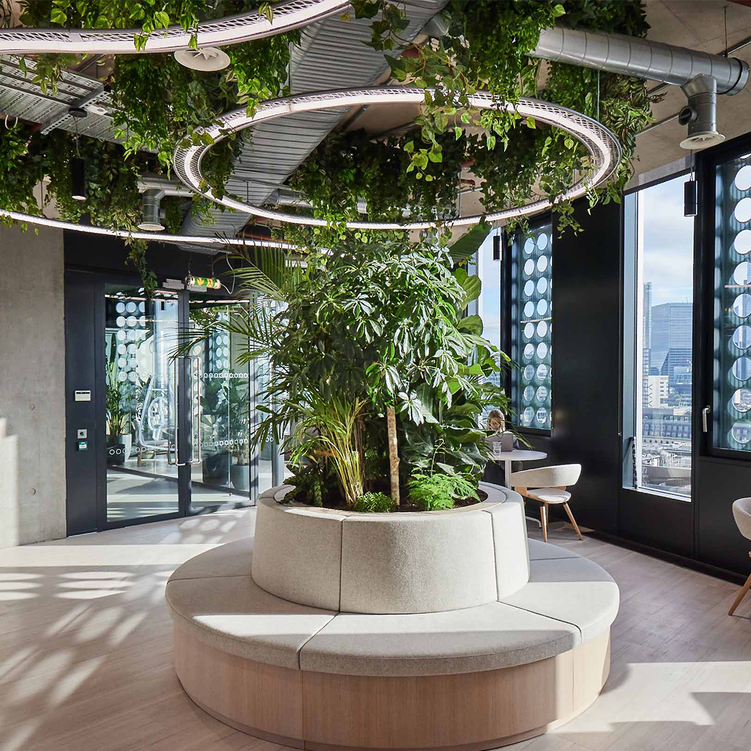 Modern office lobby with hanging green plants and a circular seating area around a tree at Brainlabs workspace.