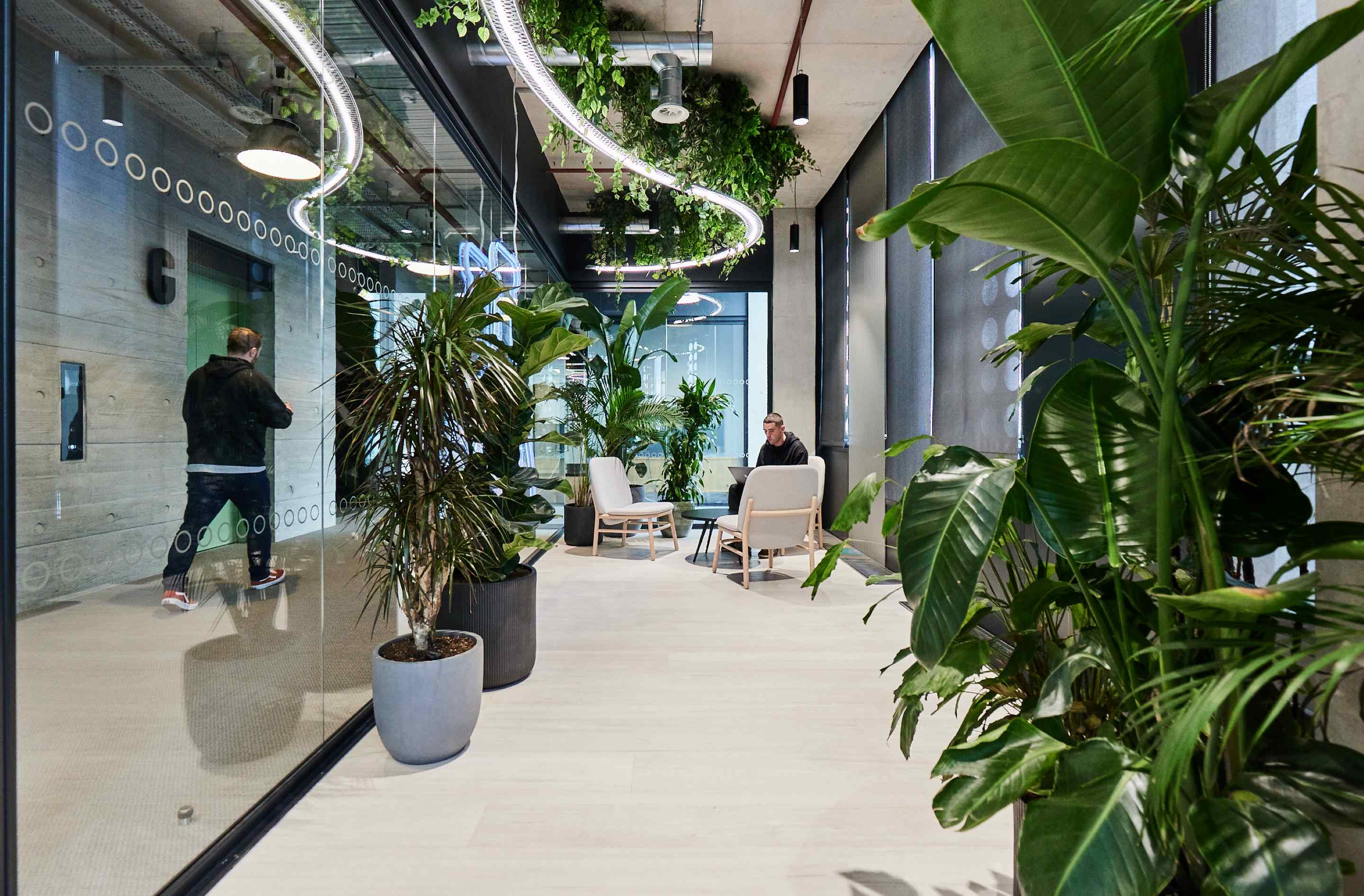 Office with exposed ceiling biophilia and Scandi chair