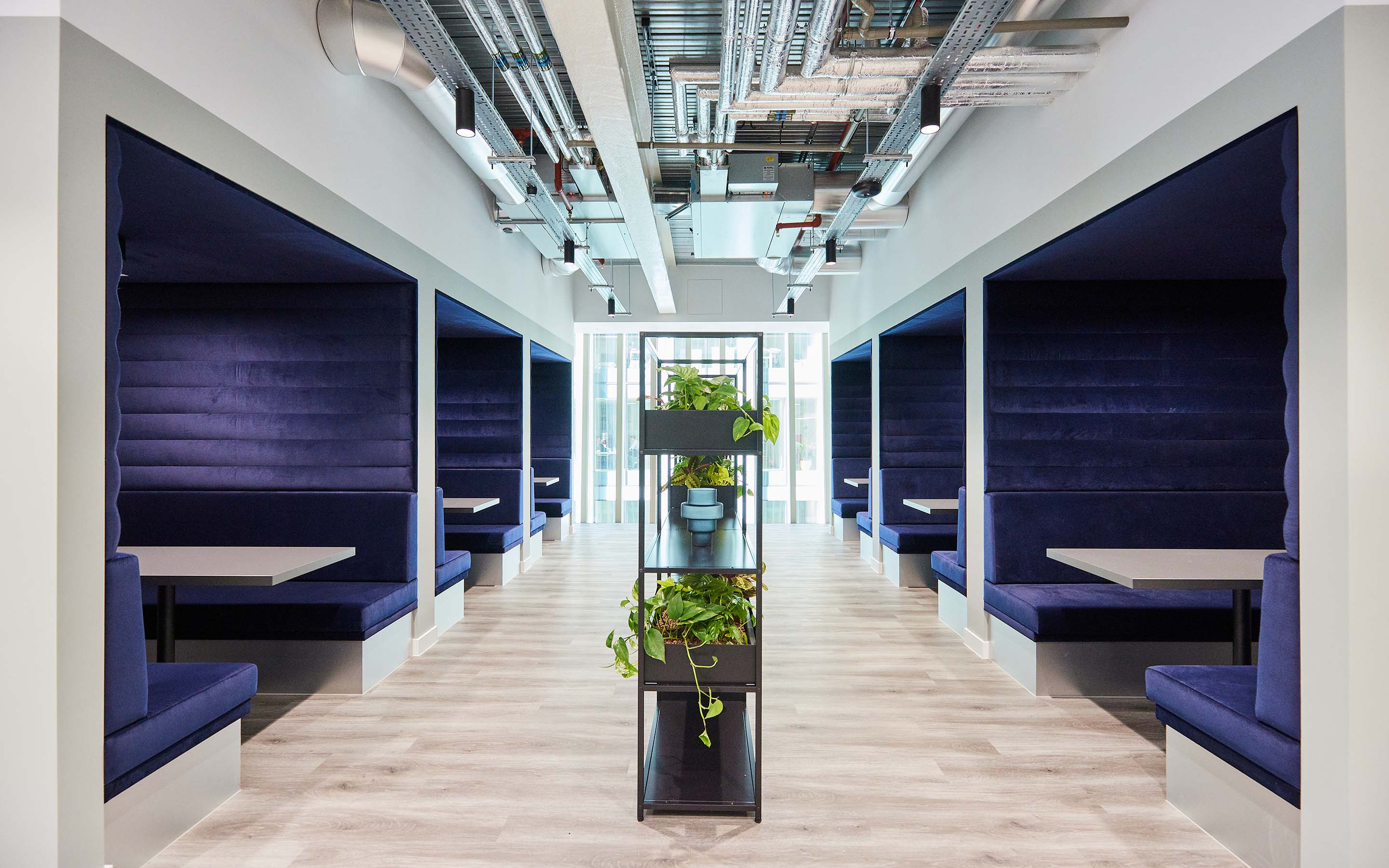 Modern office break area with blue upholstered booths and central plant shelf.