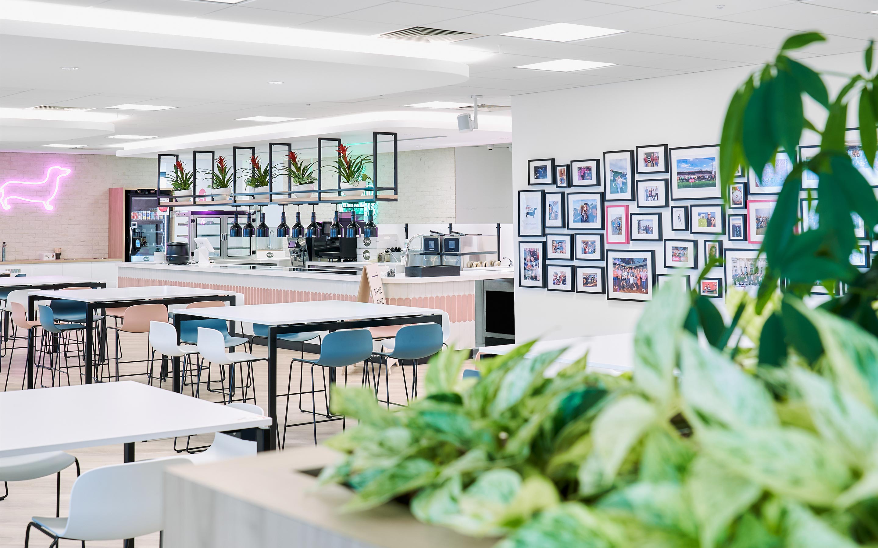 An image of an office canteen, with tables and chairs, pictures on the wall, bright atmosphere, and plants