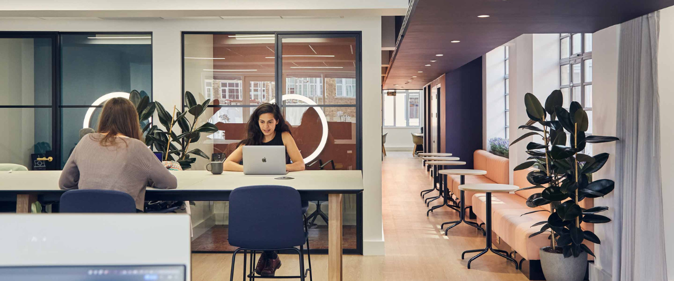 2 women working in an office at a high table on their laptops surrounded by plants next to two orange sofas.